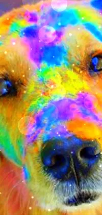 Carnivore Dog Snout Live Wallpaper