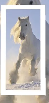 This phone live wallpaper features a muscular white horse galloping through a snowy landscape