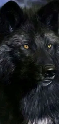 Get mesmerized with this stunning live phone wallpaper featuring a digital painting of a black furry dog with captivating yellow eyes