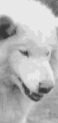 This phone live wallpaper features a large white dog standing on a green field, a black-and-white photo of a wolf, reddit, ascii art, a photo of a laughing dog, a gif, realistic footage of a dog running through a forest, and a paw print background