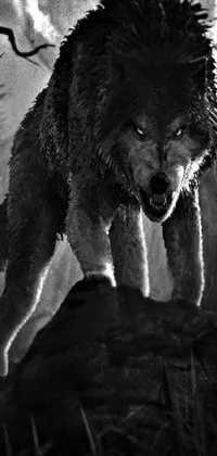 This live phone wallpaper showcases a high-contrast black and white photo of a wolf in the forest interspersed with an ominous fantasy illustration of a post-apocalyptic creature, accompanied with a cinematic lighting effect