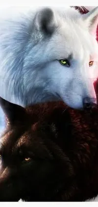 This live wallpaper features a high-quality photograph of two wolves, one black, and one white, in a fantasy art style