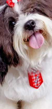 Looking for a unique and eye-catching phone wallpaper? Look no further than this close-up view of a dog wearing a tie