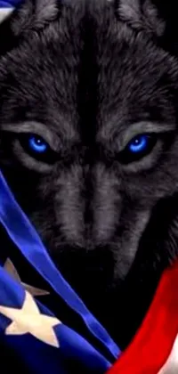 This remarkable phone live wallpaper features a captivating close-up shot of an American flag-clad wolf with icy blue eyes