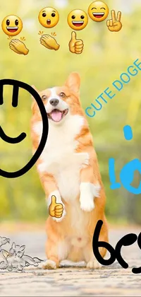 This phone live wallpaper depicts an adorable orange and white dog with a playful personality