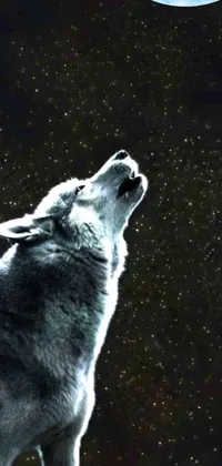 This dynamic phone live wallpaper features a stunning image of a wolf howling at the moon, evoking a wild and untamed scene