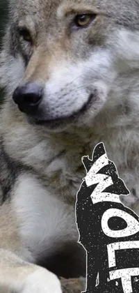 This phone wallpaper showcases a breathtaking image of a majestic wolf with a "vote" sign beside it