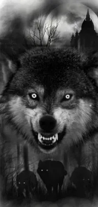 Looking for a unique and edgy live wallpaper for your phone? Check out this gothic-themed image featuring a black and white photo of a powerful wolf