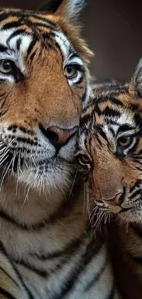 Enjoy the stunning beauty of the animal kingdom with this vibrant live wallpaper