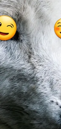 Carnivore Felidae Grey Live Wallpaper