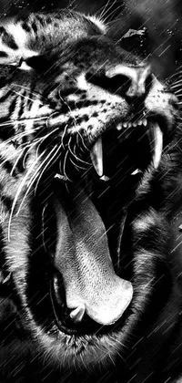 Get mesmerized by the stunning phone live wallpaper featuring a breathtaking photo of a tiger in the rain