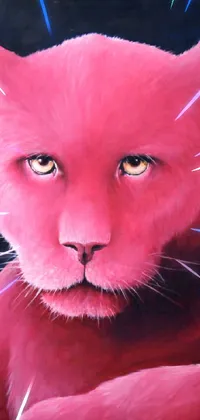 Pink Cat on Black Lioness Surface Live Wallpaper - free download
