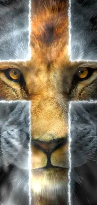 This phone live wallpaper features an intricate image of a lion adorned with a cross symbol on its face
