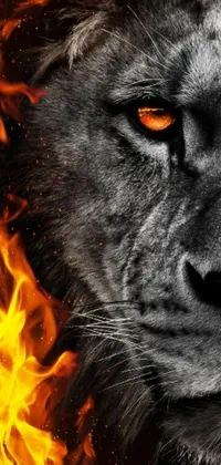 This incredible phone live wallpaper showcases a captivating lion with intense fiery eyes and a background filled with dancing flames