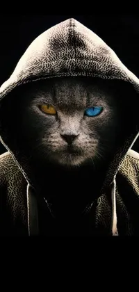 This phone live wallpaper features a captivating close-up of a cat wearing a hoodie that emphasizes the contrast between good and evil