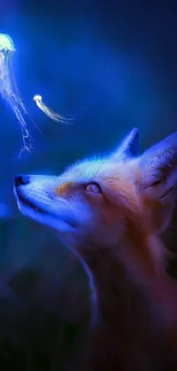 This live wallpaper showcases a stunning image of a furry orange fox gazing at a jellyfish floating in a magical sky
