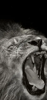 This phone wallpaper captures the fierce and mighty essence of a lion, with a close-up of its open jaws and sharp claws