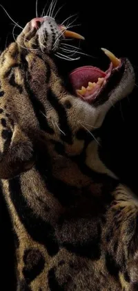 This phone live wallpaper features a powerful jaguar in hyperrealistic digital art with its mouth wide open displaying sharp teeth and a fierce expression