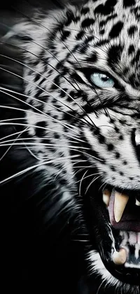 This live wallpaper for your phone features a stunning, close-up depiction of a leopard's face in a fierce and powerful pose