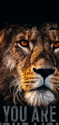 This phone live wallpaper showcases a detailed close-up of a lion's face with an empowering message "you are a true lion"