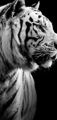 This live wallpaper features a high contrast black and white profile portrait of a majestic tiger, captured in exquisite detail by the photographer