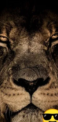 This phone live wallpaper showcases a stunning close-up of a fierce lion sporting trendy shades
