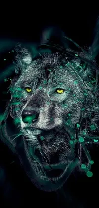 This live wallpaper features a close-up of a captivating lion's face on a deep black background