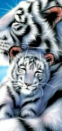This mobile live wallpaper showcases two white tigers sitting closely together, exuding an aura of affection as they cradle each other