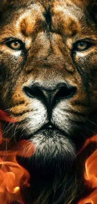 Get the ultimate <a href="/">phone live wallpaper</a> with this trending 2D close-up of a lion&#39;s fiery face