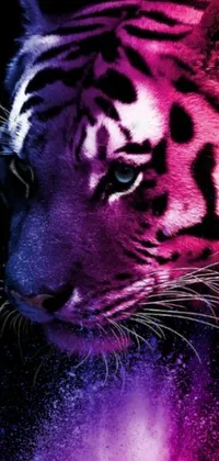 This phone live wallpaper features an up close image of a tiger set against a black background, painted in digital style