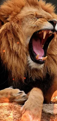 Looking for a powerful and captivating live wallpaper for your phone? Look no further than this close-up image of a roaring lion with its mouth open! Captured in stunning 4K vertical format, this high-quality wallpaper is sure to make a statement on your phone's home screen