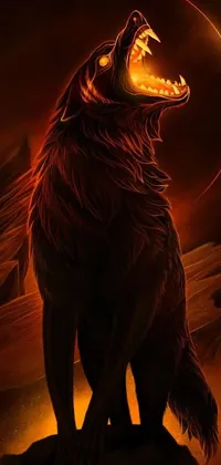 "Get a striking live wallpaper for your phone featuring a large black wolf standing on a rock in an orange glow