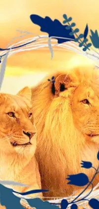 Enhance your mobile screen with a majestic sight of two lions in a beautiful landscape live wallpaper