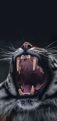 This phone live wallpaper features a hyperrealistic painting of a ferocious tiger with its mouth wide open, displaying his sharp teeth and claws