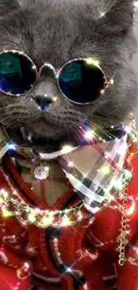 This eye-catching live wallpaper showcases a sunglasses-wearing cat dressed in festive clothing
