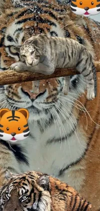 Transform your phone screen into a winter wonderland with this stunning tiger live wallpaper