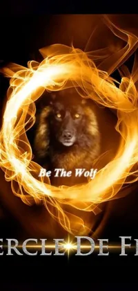 This phone live wallpaper features an intense graphic of a canine standing amidst a fiery ring which carries the phrase 'Be the Wolf