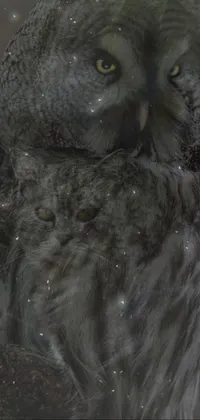 This phone live wallpaper showcases a breathtaking image of a large owl perched atop a branch, with a close-up shot of a silver-grey cat in the foreground