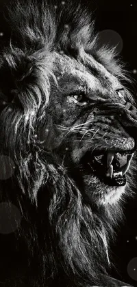 lion  Live Wallpaper