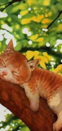 This lively mobile wallpaper showcases a beautiful painting of a serene ginger cat sleeping on a tree by Yuko Tatsushima