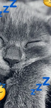 This stunning live wallpaper showcases a captivating black and white photograph of a sleeping feline