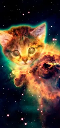 This live phone wallpaper features a curious cat gazing up at a stunning digital art display of exploding nebulae and kittens in outer space