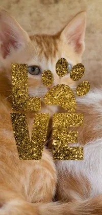 This enchanting phone live wallpaper showcases a pair of furry felines cuddled up together on a glittery background