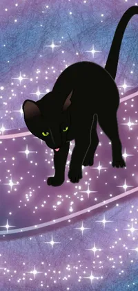 Get this stunning phone live wallpaper featuring a sleek black cat walking across a mesmerising purple and blue background