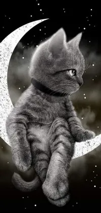 Elevate your phone screen aesthetic with this stunning live wallpaper featuring a furry black and white cat sitting on a crescent moon against a moonlit grey backdrop