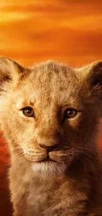 This phone live wallpaper showcases a stunning close-up of a young lion against a picturesque sunset, providing an incredibly realistic, Pixar-quality portrait perfect for trending on social media