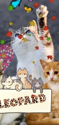 Carnivore Mammal Cat Live Wallpaper