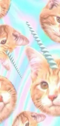 This phone wallpaper boasts a close-up of a multicolored cat surrounded by bright patterns, as well as a psychedelic album cover