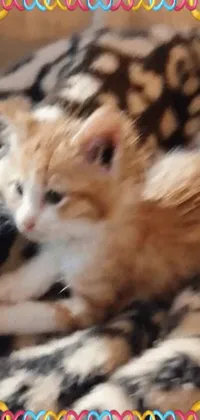 Get a live wallpaper of a cute ginger kitten playing with a ball of yarn! The animated cat moves and blinks, and users can make it meow or purr with a simple tap