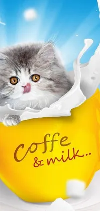 This live wallpaper features a delightful furry feline sitting comfortably in a cup of milk in a highly-detailed and colorful artwork called "Celebration of Coffee Products" by John Luke on Shutterstock